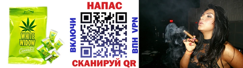 как найти   блэк спрут ТОР  Cannafood конопля  Новотитаровская 
