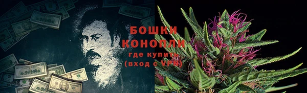 дживик Белокуриха