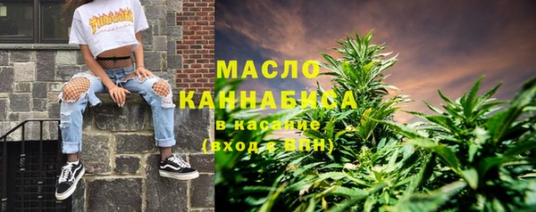 сатива Беломорск