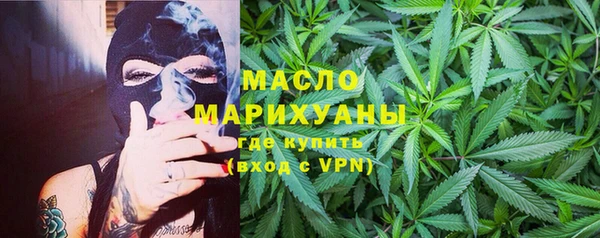 сатива Беломорск
