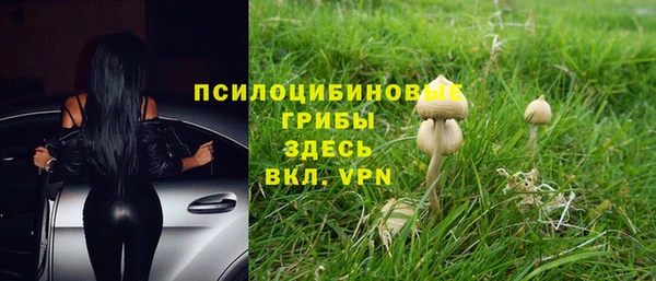 гидра Баксан