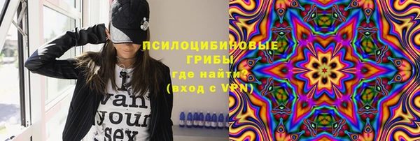 гидра Баксан