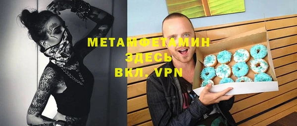 сатива Беломорск