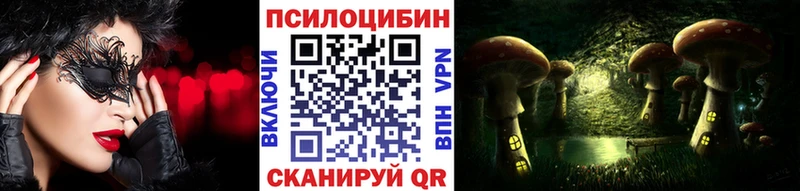 блэк спрут ССЫЛКА  Новотитаровская  Псилоцибиновые грибы мицелий 